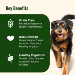 Nutrish Grain Free Dry Dog Food, Chicken & Sweet Potato Recipe, 26 lb. Bag (Rachael Ray) - Image 5