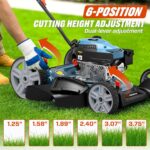 SENIX 21-Inch Gas Lawn Mower, 144cc 4-Cycle Engine, 2-in-1 Mulching & Side Discharge, 6-Position Height Adjustment, Push Walk-Behind Mower for Residential Yard & Garden - Image 5