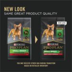 Purina Pro Plan Small Breed Dry Dog Food, Shredded Blend Beef and Rice Formula With Guaranteed Live Probiotics - 6 lb. Bag - Image 3