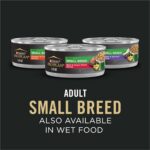 Purina Pro Plan Small Breed Dry Dog Food, Shredded Blend Beef and Rice Formula With Guaranteed Live Probiotics - 6 lb. Bag - Image 10