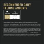 Purina Pro Plan Small Breed Dry Dog Food, Shredded Blend Beef and Rice Formula With Guaranteed Live Probiotics - 6 lb. Bag - Image 11