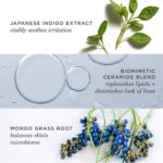 TATCHA Indigo Overnight Repair | Face Cream & Serum Treatment, Fragrance Free Night Cream, 50 ml | 1.7 oz - Image 6