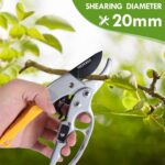 pruning shears & gardening gloves - Image 4