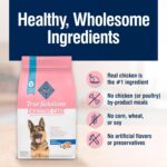 Blue Buffalo True Solutions Digestive Care Natural Dry Dog Food for Adult Dogs, Chicken, 24-lb. Bag - Image 7