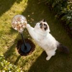 2 Pack Cat Toys for Outdoor, Plastic Treat Ball with Spring and Metal Stake, Cat Treat Dispenser, Toy for Cats to Keep Them Busy, Kitten Toys - Image 7