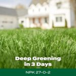 Scotts Green Max Lawn Food, 5,000 sq. ft. - Image 5