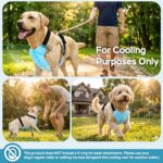 Cooling Vest, 30% Lighter Than Water Vests, Dry-Chill Lightweight Physical Gear (Prevents Over-Chilling), Adjustable Stretch Cords, dog cooling vest for Indoor Outdoor, Hot Weather, summer use(L) - Image 6
