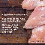 Diamond Naturals Large Breed Adult Dry Dog Food Chicken and Rice Formula with Protein from Real Chicken, Probiotics and Essential Nutrients to Support Balanced and Overall Health in Adult Dogs 40lb - Image 5