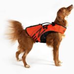 EzyDog DFD X2 Dog Life Jacket - Adjustable Swimming Safety Life Vest Preserver with Continuous Neck Flotation, Reflective Trim, & Grab Handle (Small, Red) - Image 3