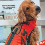 EzyDog DFD X2 Dog Life Jacket - Adjustable Swimming Safety Life Vest Preserver with Continuous Neck Flotation, Reflective Trim, & Grab Handle (Small, Red) - Image 5