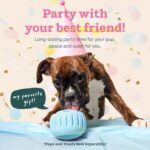 WOOF Party Pupsicle - Long-Lasting Interactive Dog Toys for Boredom - Low-Mess Design - Birthday Gifts for Dogs - Large Dog Toys - Buddy Blue - Image 3