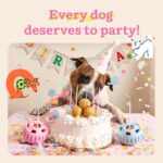 WOOF Party Pupsicle - Long-Lasting Interactive Dog Toys for Boredom - Low-Mess Design - Birthday Gifts for Dogs - Large Dog Toys - Buddy Blue - Image 7