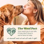 WOOF Party Pupsicle - Long-Lasting Interactive Dog Toys for Boredom - Low-Mess Design - Birthday Gifts for Dogs - Large Dog Toys - Buddy Blue - Image 9