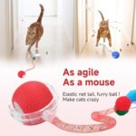 2 Packs Speed 2.0 Tail Interactive Cat Toys for Indoor Cats, Chirping & Motion Activate Cat Toy, Smart Kitten Rolling Ball Moving Ball Toys, Rechargeable Dog Cats Bal l for Enrichment Exercise - Image 3