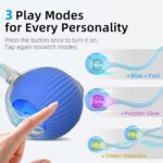 2 Packs Speed 2.0 Tail Interactive Cat Toys for Indoor Cats, Chirping & Motion Activate Cat Toy, Smart Kitten Rolling Ball Moving Ball Toys, Rechargeable Dog Cats Bal l for Enrichment Exercise - Image 4