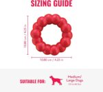 KONG Ring - Natural Rubber Ring Toy for Healthy Chewing Habits - Chew Toy Supports Dog Dental Health - Dog Toy Supports Instincts During Playtime - for Medium/Large Dogs - Image 5