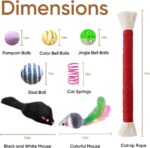 Cat Toys for Indoor Cats, 34 Packs Interactive Cat Toy Set with Colorful Springs Toys, Mouse Toy, Catnip Ropes, Balls, Bells, and Sisal Ball for Kitten Toys - Image 4