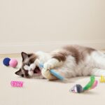 Cat Toys for Indoor Cats, 34 Packs Interactive Cat Toy Set with Colorful Springs Toys, Mouse Toy, Catnip Ropes, Balls, Bells, and Sisal Ball for Kitten Toys - Image 6