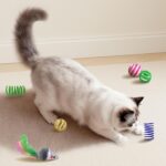 Cat Toys for Indoor Cats, 34 Packs Interactive Cat Toy Set with Colorful Springs Toys, Mouse Toy, Catnip Ropes, Balls, Bells, and Sisal Ball for Kitten Toys - Image 7