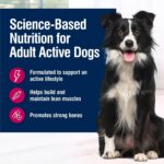 Blue Buffalo True Solutions Active Dog Wet Dog Food for Active Adult Dogs, Made with Natural Ingredients, Chicken, 12.5-oz. Cans (12 Count) - Image 5
