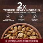 Purina ONE True Instinct With A Blend Of Real Turkey and Venison Dry Dog Food - 7.4 lb. Bag - Image 9
