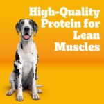 Pedigree Large Breed Dry Dog Food for Large Dogs, Roasted Chicken, Rice and Vegetable Flavor, 16 lb. Bag - Image 3