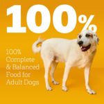 Pedigree Large Breed Dry Dog Food for Large Dogs, Roasted Chicken, Rice and Vegetable Flavor, 16 lb. Bag - Image 4