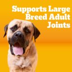Pedigree Large Breed Dry Dog Food for Large Dogs, Roasted Chicken, Rice and Vegetable Flavor, 16 lb. Bag - Image 5
