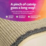 SmartyKat Sisal Angle Ramp Cat Scratcher, Natural Woven Sisal Surface & Stable Wooden Structure with Organic Catnip - Image 5