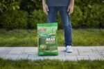 Scotts Green Max Lawn Food - Lawn Fertilizer for Grass Plus Iron Supplement, 10,000 sq. ft., 33.33 lbs. - Image 11