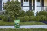 Scotts Green Max Lawn Food - Lawn Fertilizer for Grass Plus Iron Supplement, 10,000 sq. ft., 33.33 lbs. - Image 13