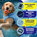 Dog Cooling Vest, Evaporative Cooling Dog Jacket with UV Protection, Lightweight Breathable Mesh Dog Cooling Shirt, Summer Heat Relief Gear with Adjustable Buckles for Hot Weather Walking & Hiking - Image 3