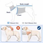 Dog Cooling Vest, Evaporative Cooling Dog Jacket with UV Protection, Lightweight Breathable Mesh Dog Cooling Shirt, Summer Heat Relief Gear with Adjustable Buckles for Hot Weather Walking & Hiking - Image 8