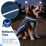 Dog Cooling Vest, Evaporative Cooling Dog Jacket with UV Protection, Lightweight Breathable Mesh Dog Cooling Shirt, Summer Heat Relief Gear with Adjustable Buckles for Hot Weather Walking & Hiking - Image 9
