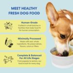 The Pets Table Human-Grade Chicken Casserole Fresh Dog Food, Dog Food Topper or Complete Meal, 6 Count of 16-oz Pouches, 5.9lbs - Image 3