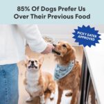 The Pets Table Human-Grade Chicken Casserole Fresh Dog Food, Dog Food Topper or Complete Meal, 6 Count of 16-oz Pouches, 5.9lbs - Image 7