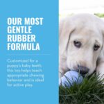 KONG Puppy - Natural Teething Rubber Chew Toy for Dogs - Stuffable Dog Toy for Extended Playtime - Chew & Fetch Toy for Puppies - for Small Puppies - Blue - Image 4