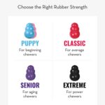 KONG Puppy - Natural Teething Rubber Chew Toy for Dogs - Stuffable Dog Toy for Extended Playtime - Chew & Fetch Toy for Puppies - for Small Puppies - Blue - Image 7