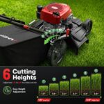 AMERISUN 21-Inch Gas Push Lawn Mower for Large Yard, 144cc 4-Stroke Engine, 6-Position Adjustable Cutting Height, 3-in-1 Mulching, Side Discharge & Rear Bag for Garden Landscaping - Image 6