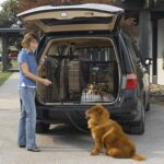 MidWest Homes for Pets Solutions Series Large Side-by-Side SUV Dog Crate, Double Door Folding Metal Cage Designed to Fit in SUVs & Vans, for Dogs up to 90 Lbs - Image 4