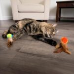 SmartyKat Flutter Balls Catnip Plush and Feather Cat Toys, Erratic Motion for Batting & Pouncing Fun for Cats & Kittens, Set of 2 - Image 9