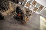 SmartyKat Flutter Balls Catnip Plush and Feather Cat Toys, Erratic Motion for Batting & Pouncing Fun for Cats & Kittens, Set of 2 - Image 11