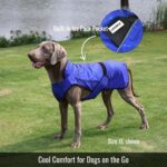 Dog Cooling Vest with Ice Pack & Cooling Collar, Blue Aqua, S | Maximum cooling support, size-matched ice packs, cooling around neck and body, UV protection, sizes to suit most dogs - Image 4