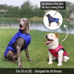 Dog Cooling Vest with Ice Pack & Cooling Collar, Blue Aqua, S | Maximum cooling support, size-matched ice packs, cooling around neck and body, UV protection, sizes to suit most dogs - Image 8
