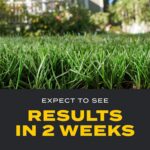 Scotts Turf Builder Triple Action1 - Weed Control, Lawn Weed Killer, Crabgrass Preventer, and Grass Fertilizer for Lawns, Covers 12,000 sq. ft., 33.94 lb. - Image 5