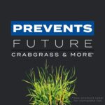Scotts Turf Builder Triple Action1 - Weed Control, Lawn Weed Killer, Crabgrass Preventer, and Grass Fertilizer for Lawns, Covers 12,000 sq. ft., 33.94 lb. - Image 6