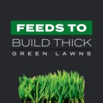 Scotts Turf Builder Triple Action1 - Weed Control, Lawn Weed Killer, Crabgrass Preventer, and Grass Fertilizer for Lawns, Covers 12,000 sq. ft., 33.94 lb. - Image 8