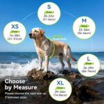 VIVAGLORY Neoprene Dog Life Vest, Dog Life Jacket for Swimming & Boating, Buoyancy & Comfort for Puppy Doggy, Swimming Vest with Handle, M, Alpha Yellow - Image 7