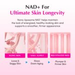 EQQUALBERRY NAD+ Peptide Boosting Cream – NAD+ 5% & 13 Peptides Anti-Aging Korean Skincare Face & Body Cream | Firming & Lifting Pink Neck Cream for Sagging Skin (1.69 fl.oz / 50ml) - Image 6