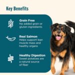 Nutrish Grain Free Dry Dog Food, Salmon & Sweet Potato Recipe, 23 lb. Bag (Rachael Ray) - Image 5
